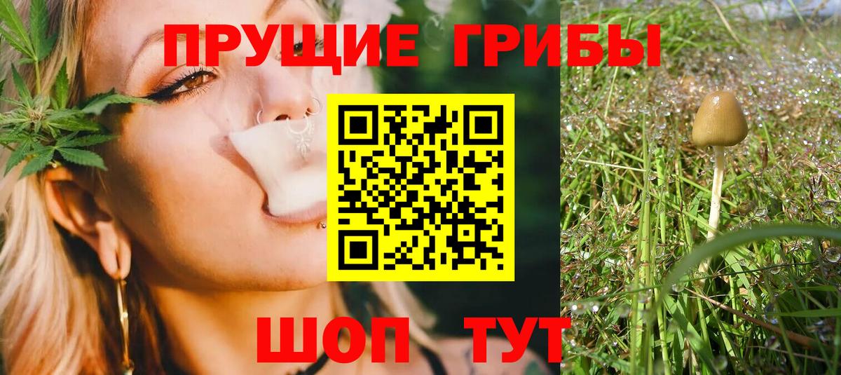 Галлюциногенные грибы Magic Shrooms  Вход с VPN  Бутурлиновка  Псилоцибиновые грибы мухоморы 